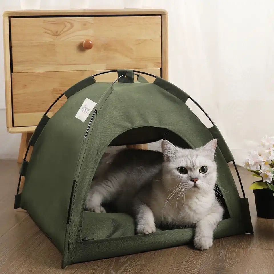 Cat Tent bed